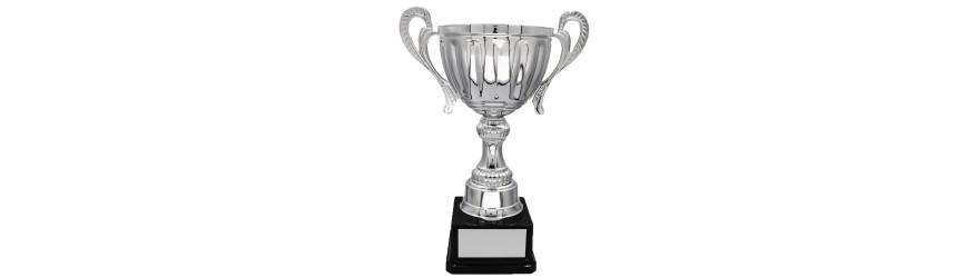 SILVER HANDLED TROPHY CUP ON SILVER RISER AVAILABLE IN 3 SIZES